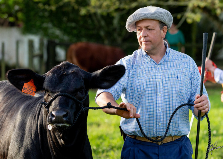 Resultados, contatos e estratégias são analisados ao final de cada edição da mostra, conta Fábio Ruivo