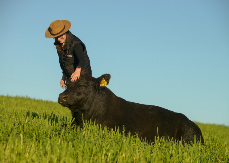 Feira permite mostrar o trabalho e projetar o rebanho, diz Luiza Soldera