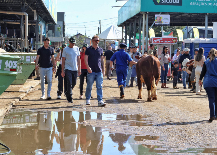 Ano com maior movimento foi 2023, quando 99.093 percorreram o parque
