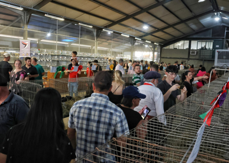 Volta das aves ao Pavilhão de Pequenos Animais, após dois anos de suspensão, foi destaque