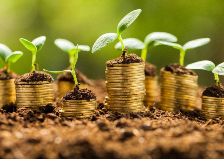 Captação líquida de quase R$ 8 bilhões neste ano já ultrapassou o total de R$ 9,4 bilhões de 2024