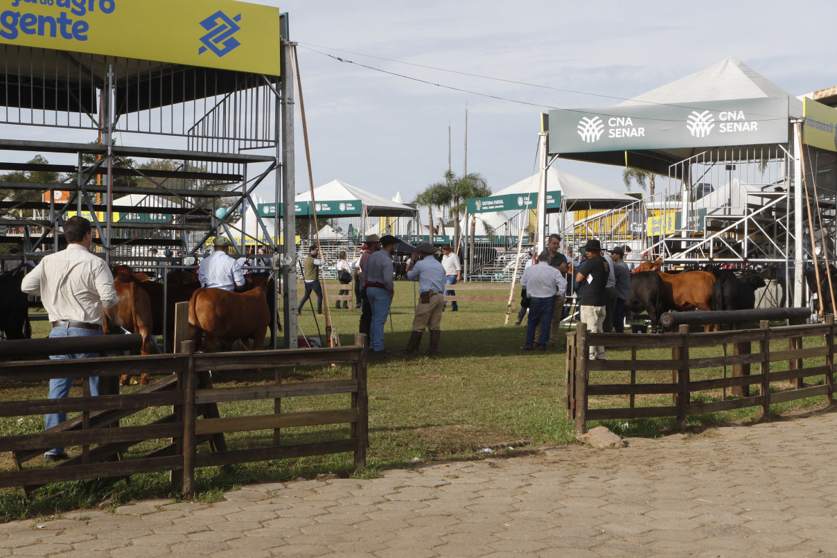 Pista central atrai diversas competições diariamente | BRENO BAUER/JC
