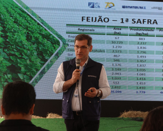 Safra gaúcha de verão 2025/2026 é projetada em 35,3 milhões de toneladas