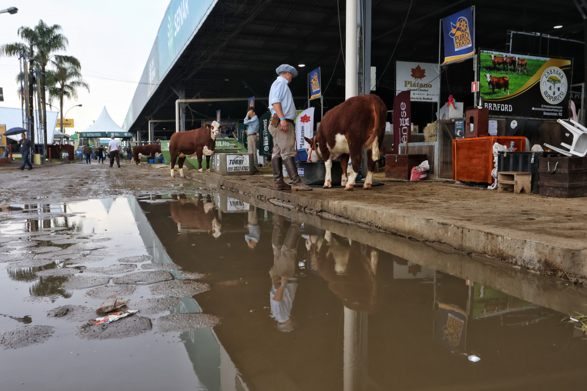 Poças começam a se formar em frente aos pavilhões | DANI BARCELLOS/ESPECIAL/JC