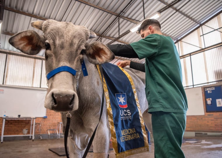 Valente vai participar do desfile dos campeões