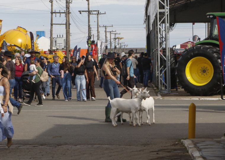 O evento ocorre no Parque de Exposições Assis Brasil, em Esteio, até o próximo domingo (7)
