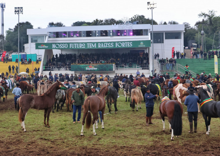 Pista central da Expointer foi ocupada por 136 animais premiados e vencedores da agricultura familiar