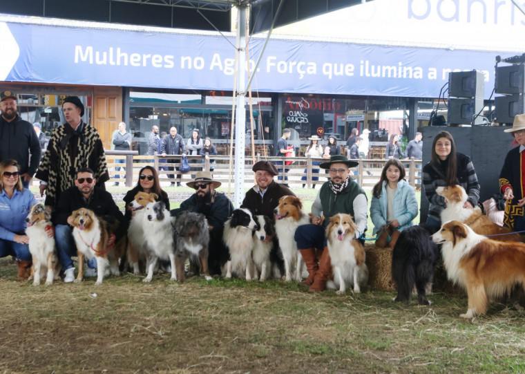 Animais são usados para pastoreio, guarda e companhia 