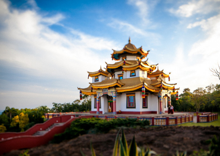 Danças sagradas do budismo tibetano, capoeira, orquestra, Luís Nenung, Batuca na Bituca, Os The Darma Lóvers, Ugyen Lhamo e Mateus Kratz com Eric Ventura estão entre as atrações