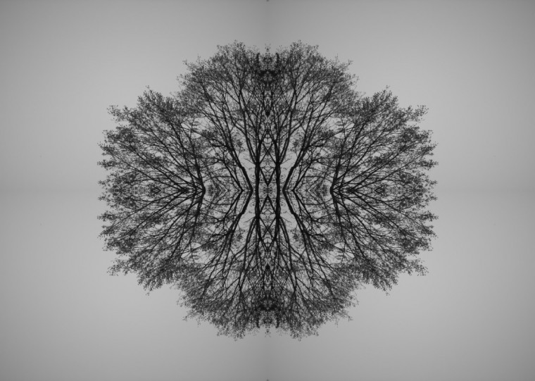 Em encontros três encontros, os professores Ione Bentz e Paulo Bittencourt mostram como as narrativas de três autores entrelaçam filosofia, metafísica e imaginação com genialidade e maestria