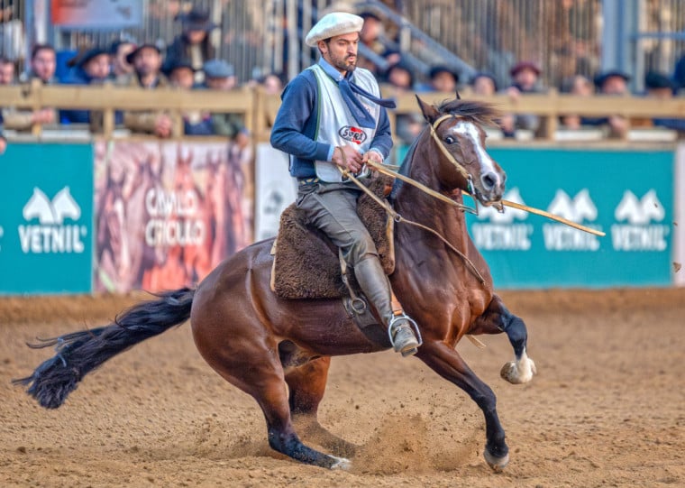 Ícone da identidade do gaúcho teve comercialização de R$ 14,51 milhões nos leilões na Expointer 