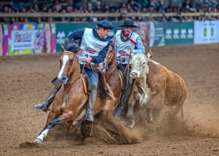 Provas equestres têm crescente interesse de adultos e crianças