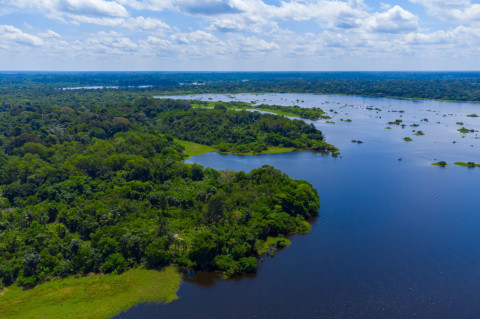 Fundo Amazônia arrecada R$ 2,6 bilhões em doações internacionais e turbina projetos de Lula