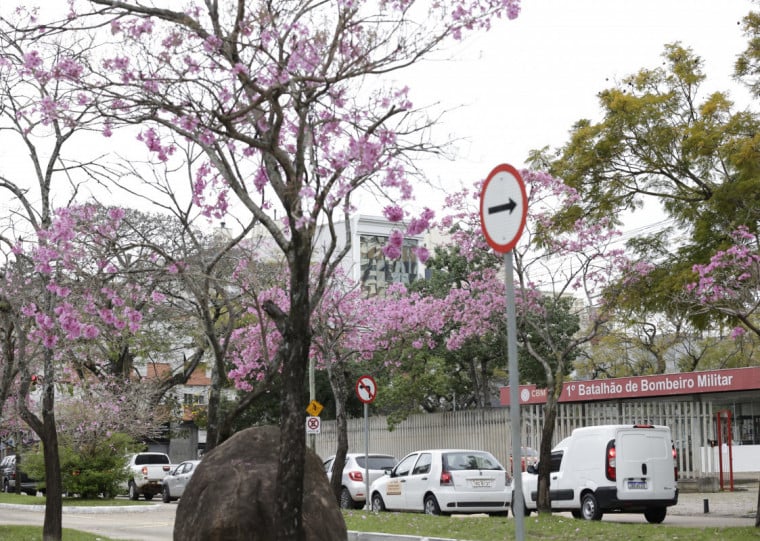 Repercussão do caso aconteceu através de um vídeo publicado pelo vereador Jonas Reis em suas redes sociais   