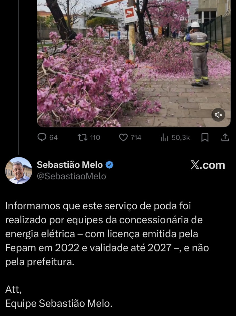 Resposta do prefeito de Porto Alegre, Sebastião Melo, referente a poda de ipês na cidade | Plataforma X/Reprodução/JC
