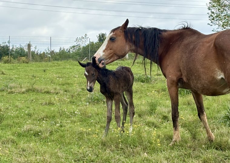 Bruna Santos/DIVULGAÇÃO/CIDADES