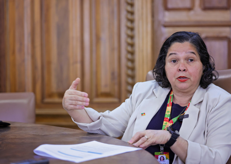Pricilla Santana afirma que os bancos estaduais e regionais - como o Banrisul, Badesul e BRDE - vão oferecer uma vantagem competitiva ao Rio Grande do Sul no que diz respeito aos investimentos no crescimento econômico