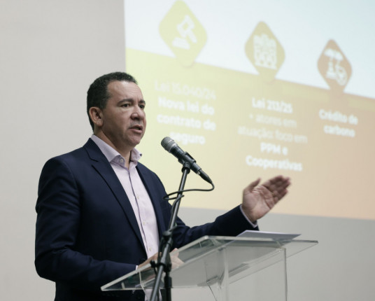 CNSeg defende atenção à crise climática