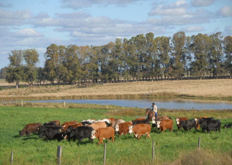 Inovação e sustentabilidade impulsionam novos modelos