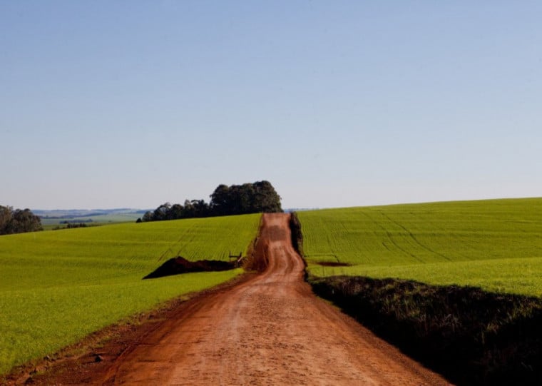 Caminho da reestruturação do agronegócio gaúcho passa pela profissionalização da gestão nas empresas rurais
