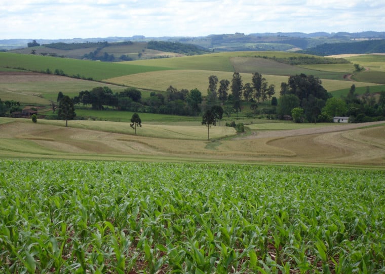 Cobertura visa proteger produtores das interpéries climáticas