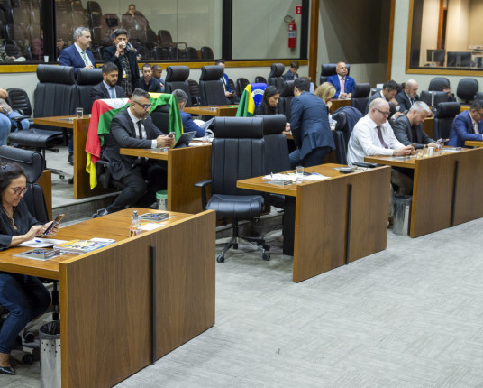 Câmara aprova Lei de Diretrizes Orçamentárias de Porot Alegre para 2026