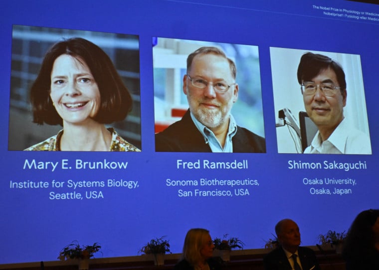 Cerimônia de entrega do prêmio aos pesquisadores será realizada no dia 10 de dezembro