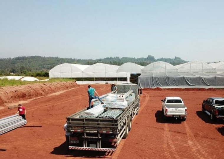 Folhagens Kelsch vende cerca de 250 mil vasos por ano, com clientela na Capital