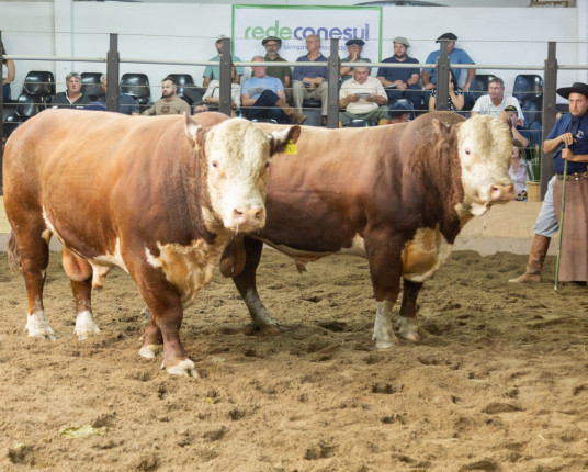 Dom Pedrito prepara estrutura para a 92ª edição da Farm Show