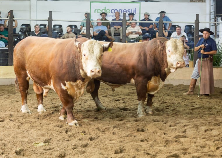 Edição da Farm Show de 2024 destacou alta genética nas pistas de remate e atraiu milhares de pessoas
