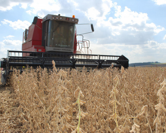 RS deve ter safra de 41 milhões de toneladas, puxada por soja, arroz e trigo