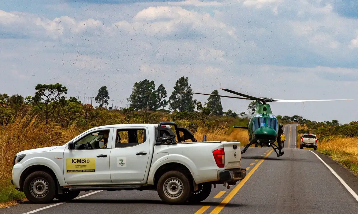 Só no Parque Nacional da Chapada dos Veadeiros, 900 hectares foram atingidos