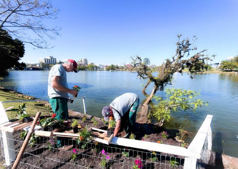 Equipes realizaram manuten&ccedil;&atilde;o para que tronco permane&ccedil;a no local