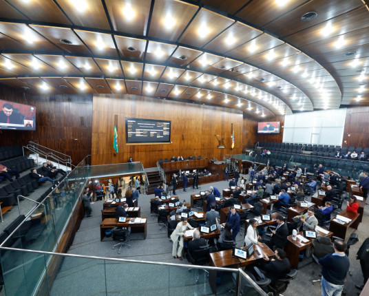 Deputados aprovam conselho contra informalidade