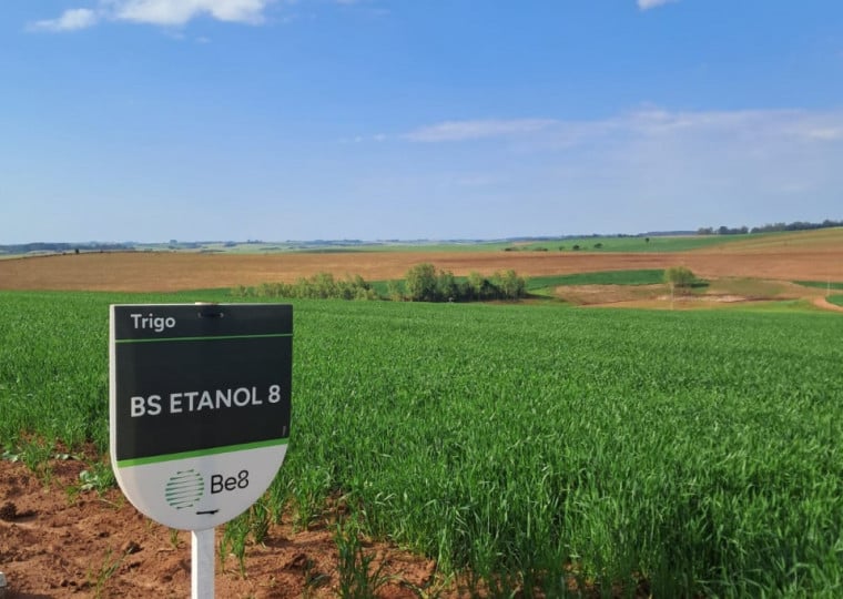 A Be8 colhe os frutos de um biocombustível próprio, o BeVant