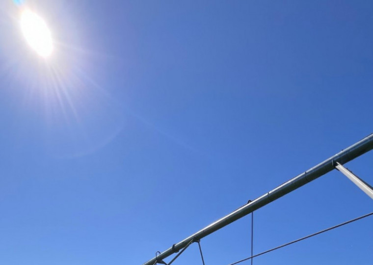 Na área de atuação da Coopatrigo, são 550 mil hectares plantados e, em 100 mil deles já há irrigação