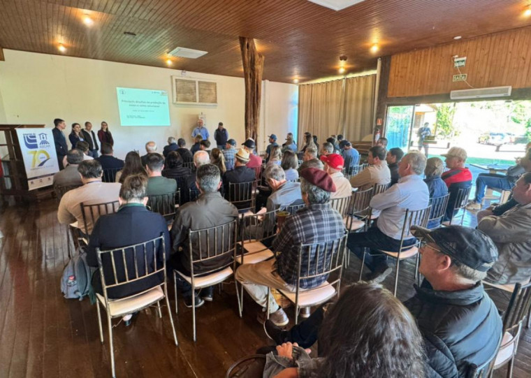 Evento em Erechim debateu manejo, qualidade e produtividade na cultura da nogueira-pecã