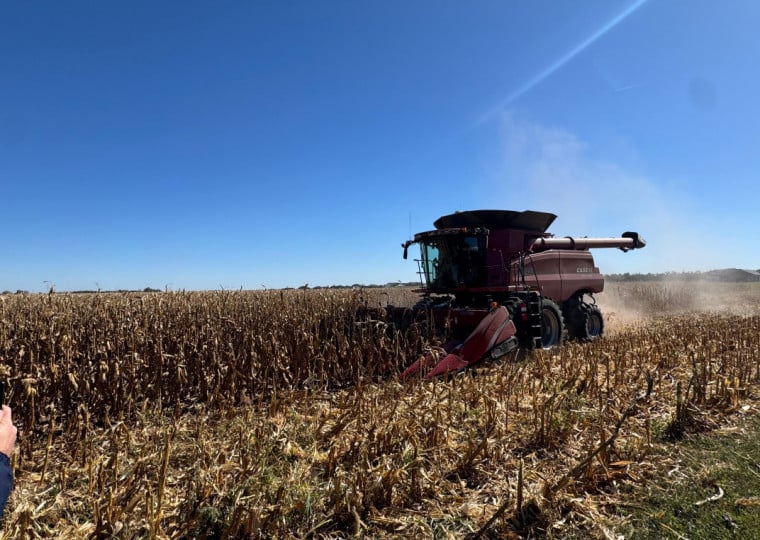 Resultado do setor foi impulsionado pelo aumento de 3,8% no volume de produtos comercializados no exterior