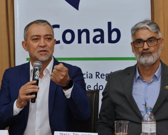 Governo destina R$ 300 milhões para dar fôlego ao setor do arroz