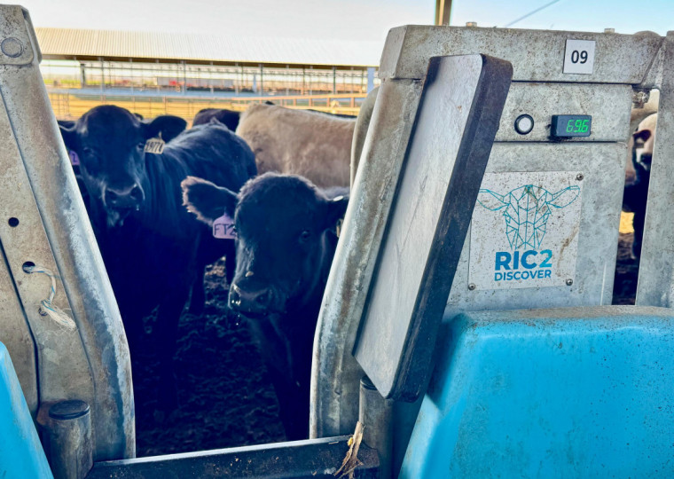 Missão RS nos Estados Unidos - Nebraska - centro de pesquisa, extensão e educação do leste de Nebraska - ligado à Universidade de Nebraska - Ithaca - estação de medição de condições de irrigação - comitiva gaúcha - hidrômetros