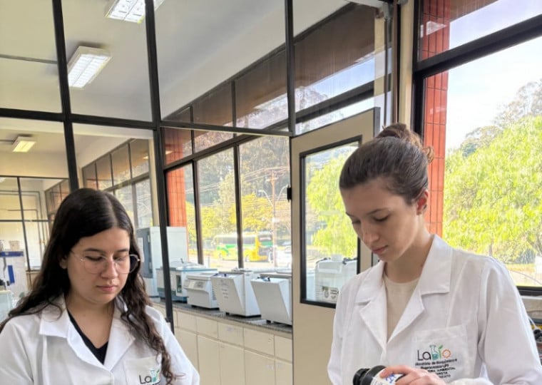 Frutas e legumes tornaram-se blends de matéria-prima para a "usina" criada em laboratório