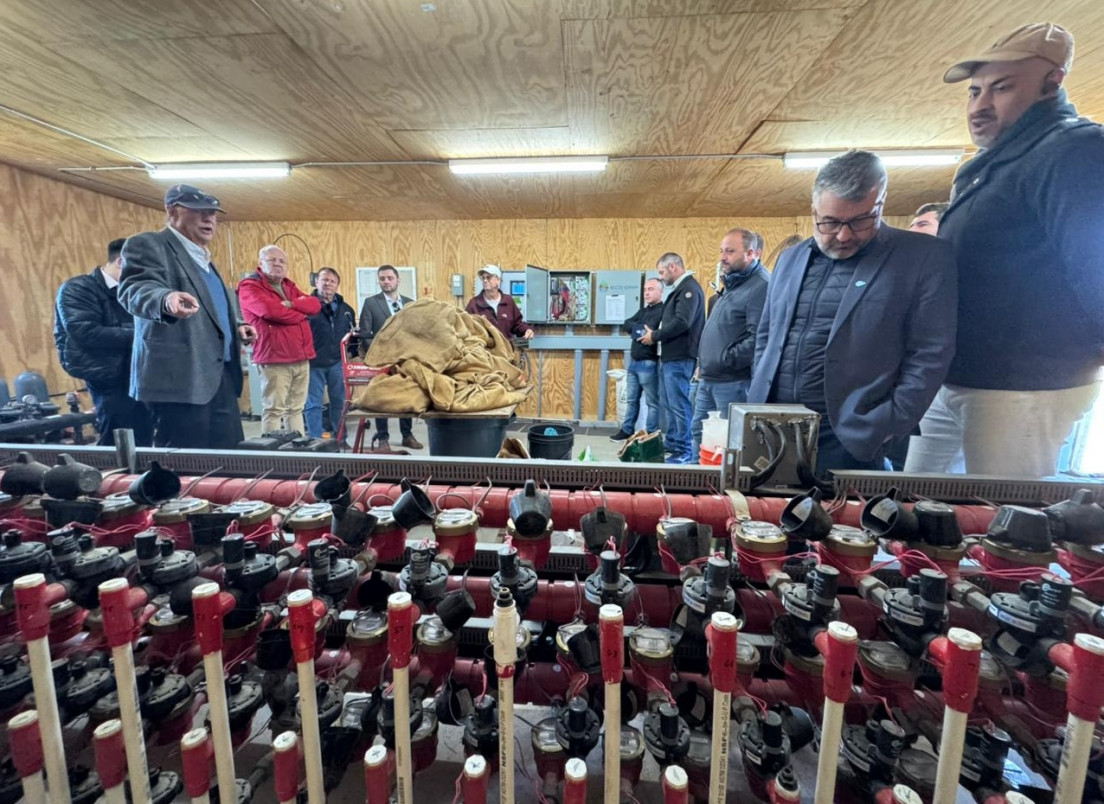 Mais de 100 hidrômetros medem consumo de água de cada pé de milho em projeto Spyder Cam | PATRICIA COMUNELLO/ESPECIAL/JC