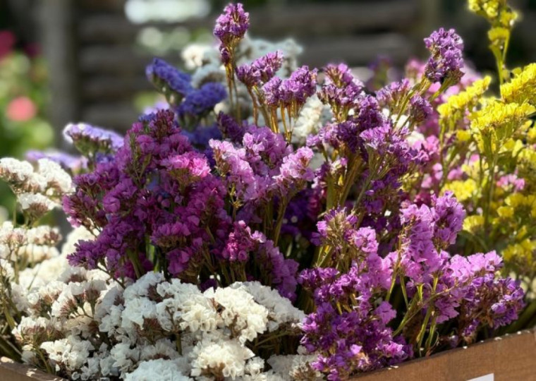 Francisco Lima, da Flores do Ibirocai, recebeu orientações de programa da UFSM