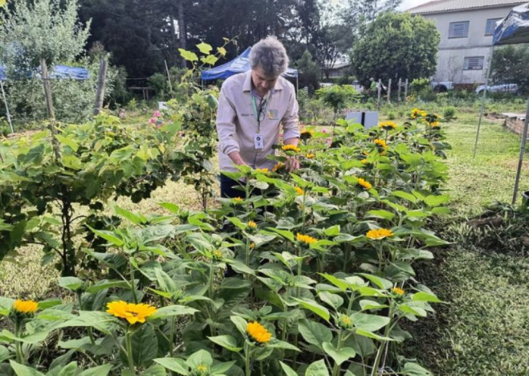 Coordenador do projeto, Streck crê na necessidade de formar novos produtores para consolidar sustentabilidade da cultura