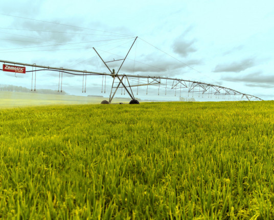 Governo prepara novo programa para impulsionar irrigação no RS