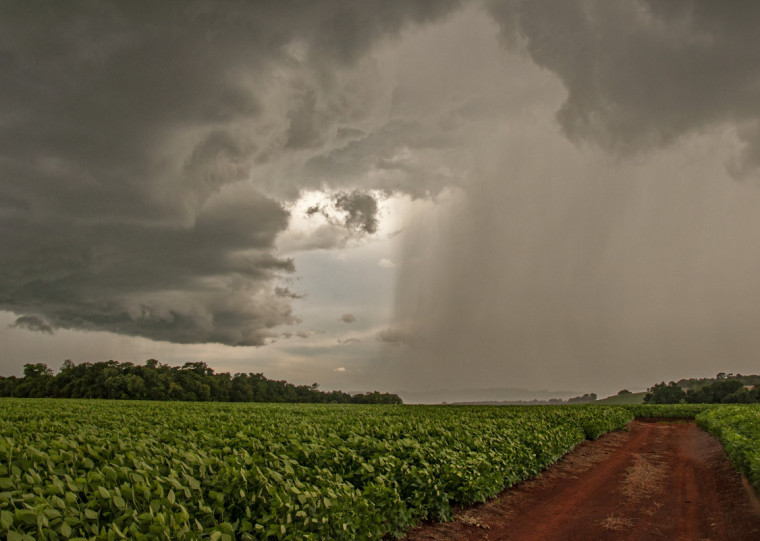 Em tempos de crise climática, com a ocorrência de estiagens e enchentes recorrentes, o que se verifica é um cenário de diminuição severa na contratação de seguro rural