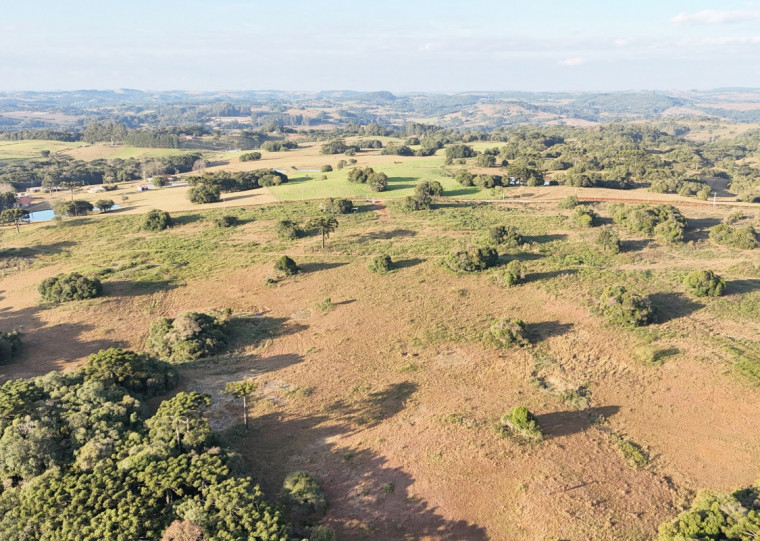 Parque ocupará um terreno de quase 62 hectares no distrito de Vila Seca, a 2km Rota do Sol; área foi adquirida por R$ 3,1 milhões