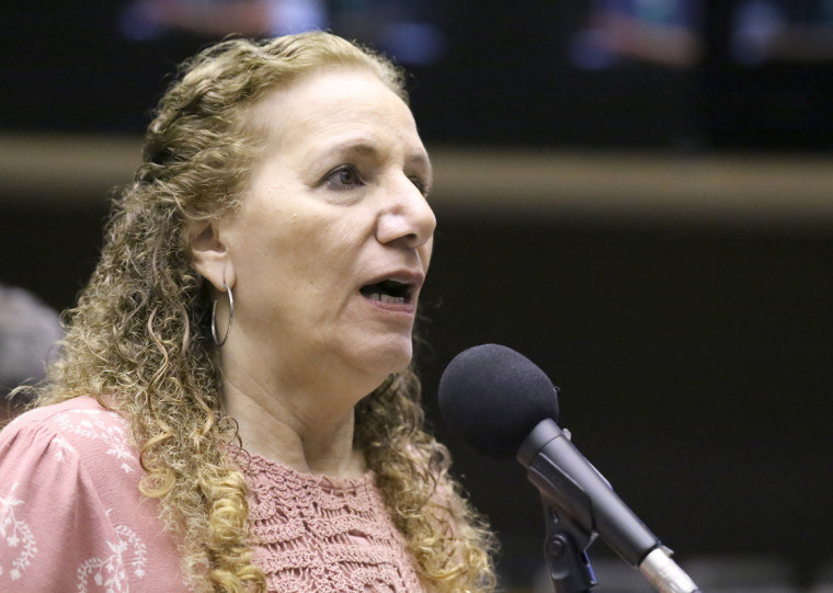 Projeto original é de autoria da deputada Jandira Feghali (PCdoB-RJ)
