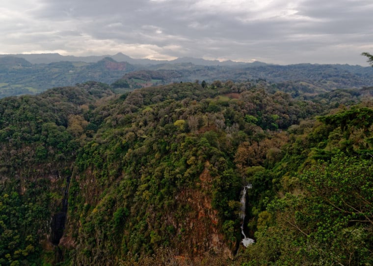 O BNDES informa ter mobilizado mais de R$ 7 bilhões para a conservação e a restauração de florestas brasileiras desde 2023, tanto por instrumentos reembolsáveis como não reembolsáveis, crédito, garantias, concessões e apoio produtivo
