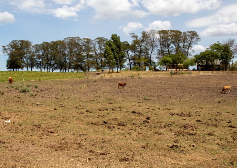 RS sofre com extremos clim&aacute;ticos tanto pela estiagem (foto em Bag&eacute; em outubro de 2025) quanto pelo excesso de chuva
